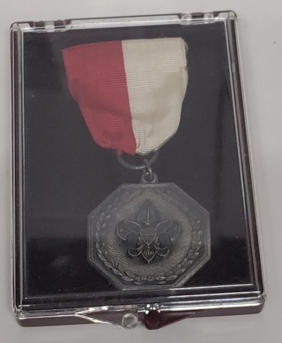 Boy scouts america - boy,
