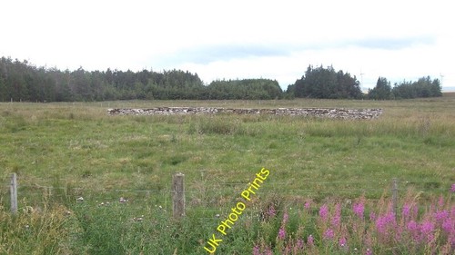 Photo 6x4 sheep shelter - 6x4,