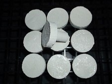 1 1/4" Coral Frag Plug 10 Pack