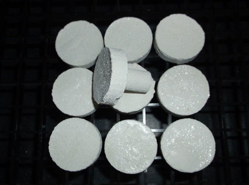 Coral frag plug 10 - plug, pack