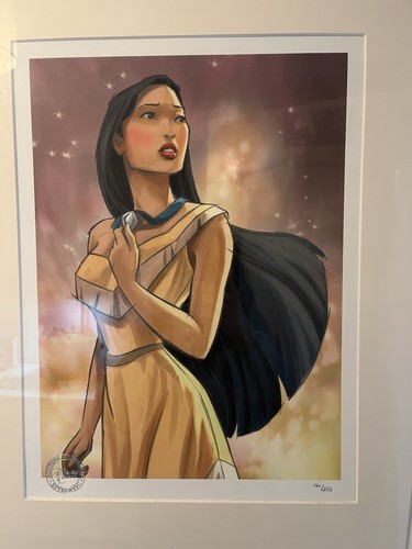 Disney store princess - disney,