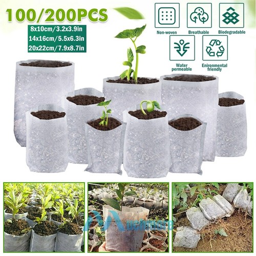 100 200x biodegradable plant - 100~200x,