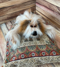 Shaggy Floppy Long Legged Dog