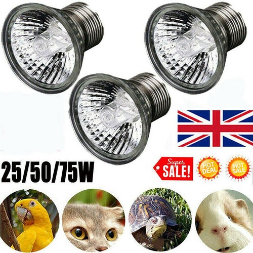 3pcs reptile light bulb - light,