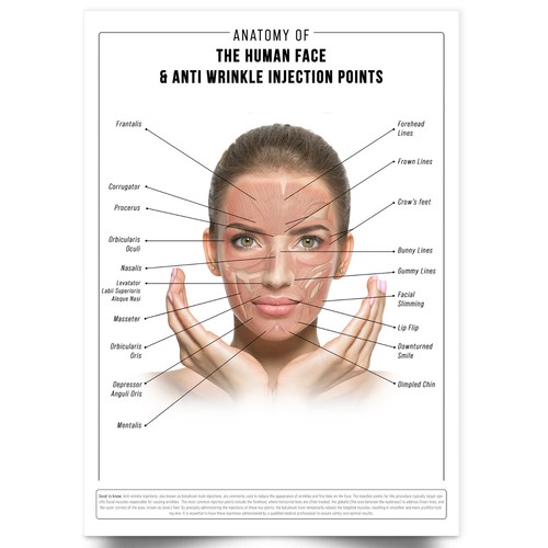 Anti wrinkle face anatomy - anti,