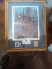 Earth Day Series 1993