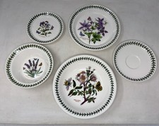 Variety Of Portmeirion Botanic