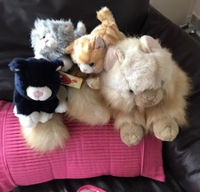 Aurora Ginger Cat And 3 Others,Keel Toys Fur Reah Babies.Large One No Label