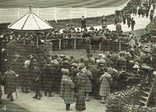 Gatwick Racecourse /