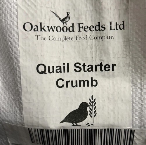 Oakwood quail chick - oakwood,