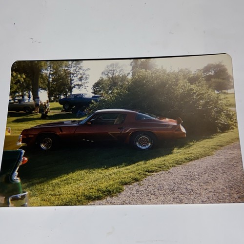 Found color photo - photo, snapshot