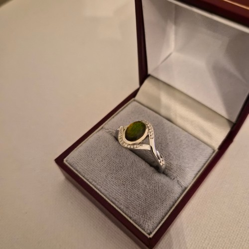Canadian ammolite zircon - &,