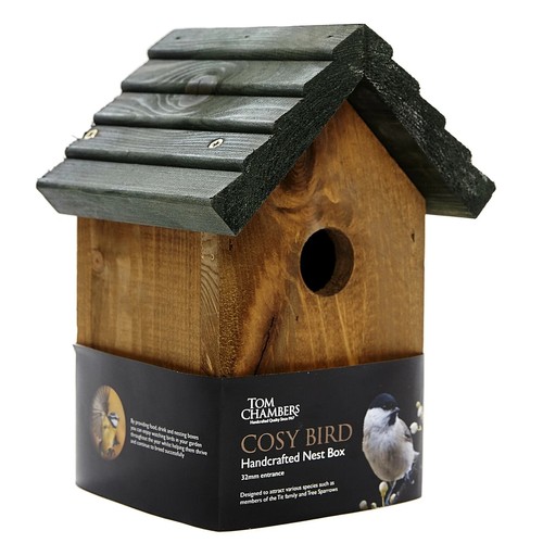Wild bird nesting - bird, box