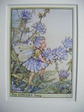Vintage Flower Fairies Print & Mount The Chicory Fairy Cicely Barker c1930's 