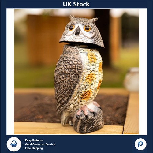 Realistic spinning head owl - spinning,