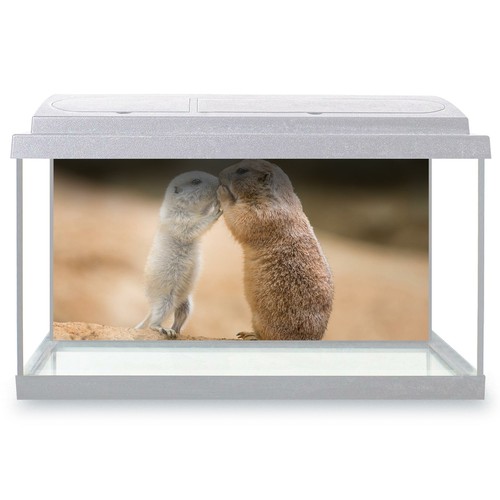 Fish tank background 90x45cm - fish,