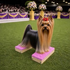 Handcrafted Dog Training