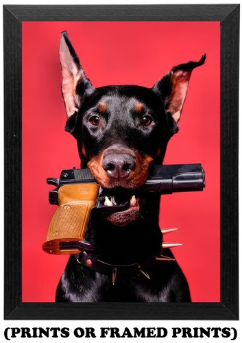 Dog gun fashion - fashion, (a5