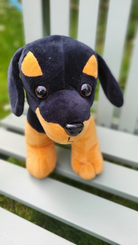Dog puppy rottweiler dachshund - dog,