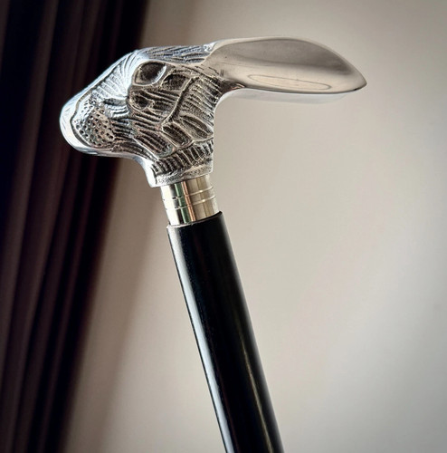 Walking cane for - cane,