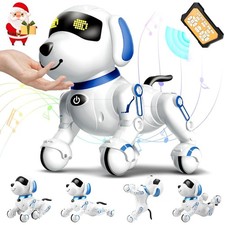 Remote Control Robot Dog Toy
