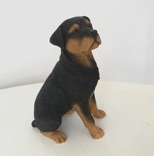Vintage Rottweiler Dog