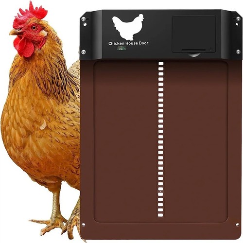 Automatic chicken coop door - chicken,