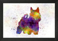 Australian Silky Terrier