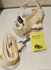 Dog Harness & Leash Set for