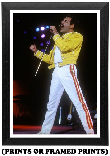 Queen freddie mercury rock - freddie,
