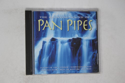 The haunting sound pan - haunting, of