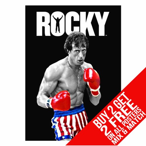 Rocky bb8 boxing - bb8,