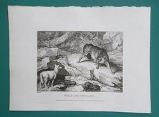 AESOP FABLES Wolf & Lamb Sheep