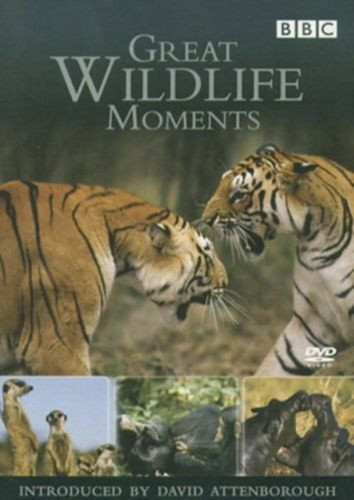 Great wildlife moments - great,