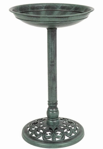 Bird bath - bird,
