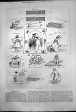 Old Antique Print Bird Catching Store Cage Plays Brace Bird Thistles 1876 19th