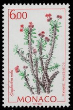MONACO 2088 - Flowering Cacti