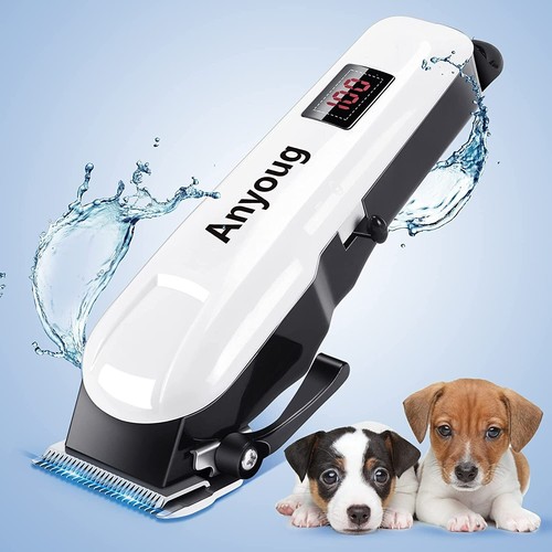 Professional pet anyoug dog - professional,