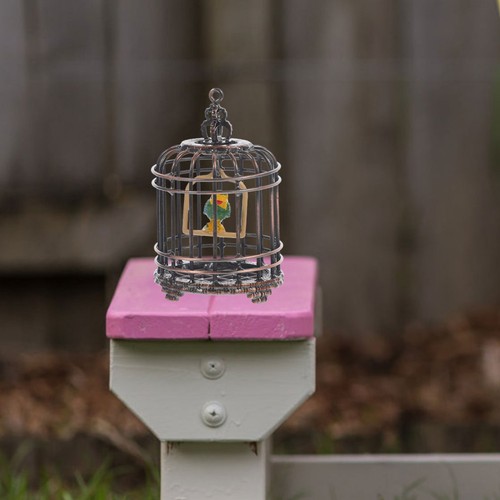 1pc decorative bird cage - 1pc,