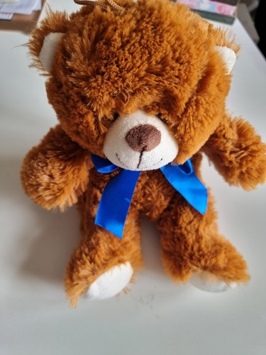 Cuddle crew teddy - teddy, bear
