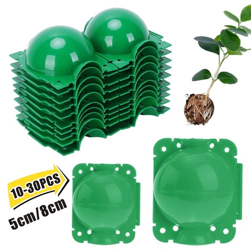30x grafting box - box, plant