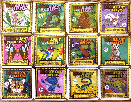 Yoyo bear bearilliant - beasts, |
