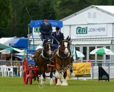 Photo 12x8 The South of