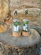 Glass Dome Green Mushroom /