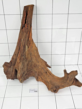 Aquarium Natural Wood Mangrove