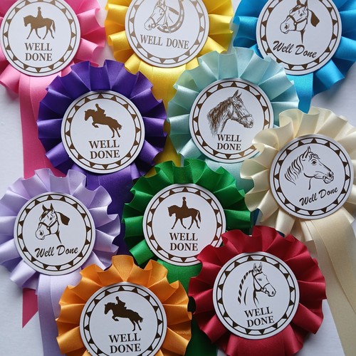 Horse rosettes well done x10 - well,