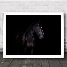 Erika Horse Animal Dark Wall