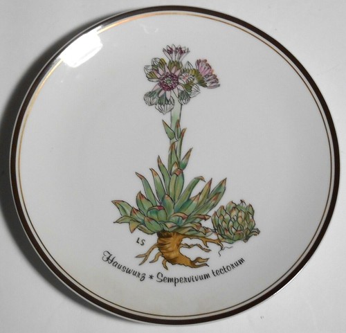 Rosenthal group classic rose - rosenthal,