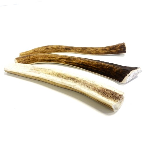Split antler dog - antler,