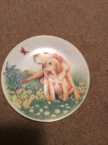 Royal worcester dogs puppies - &,